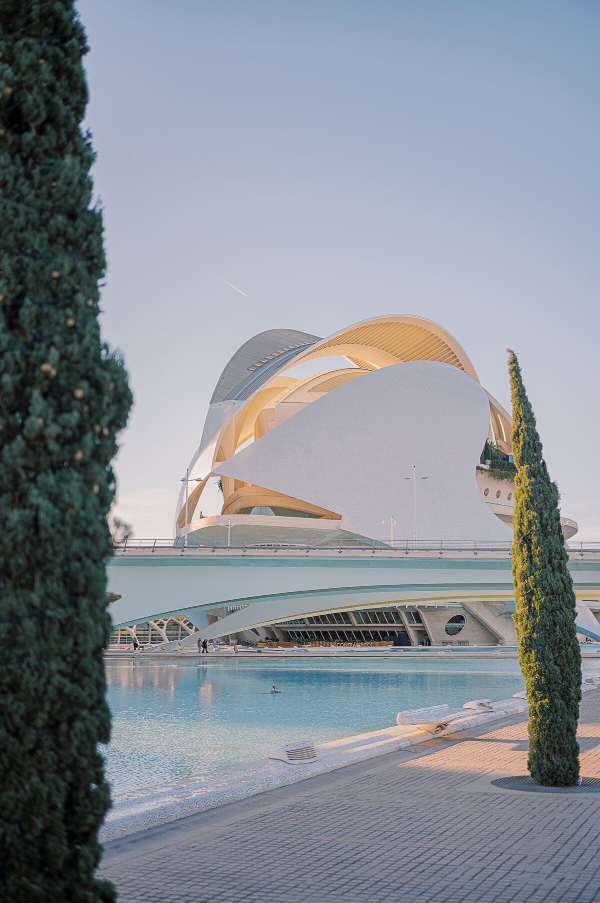 marriage-proposal-valencia-locations-4