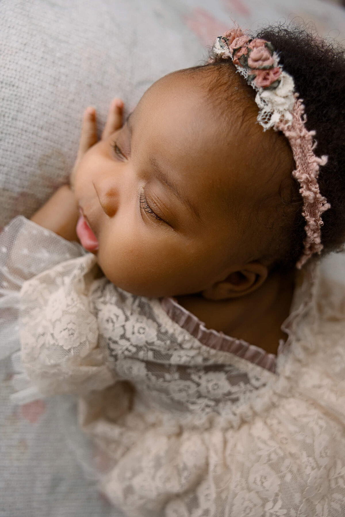 Erie Pa Newborn Photographer