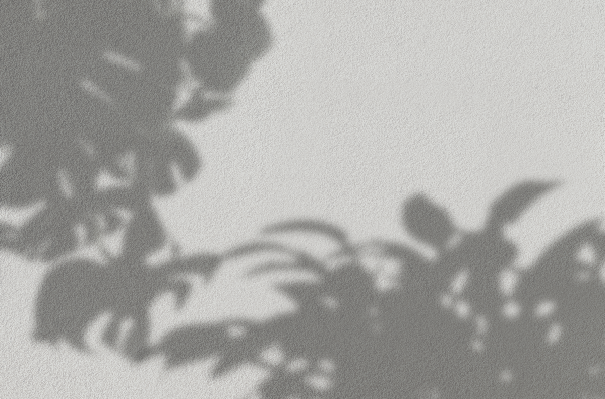 plant shadow