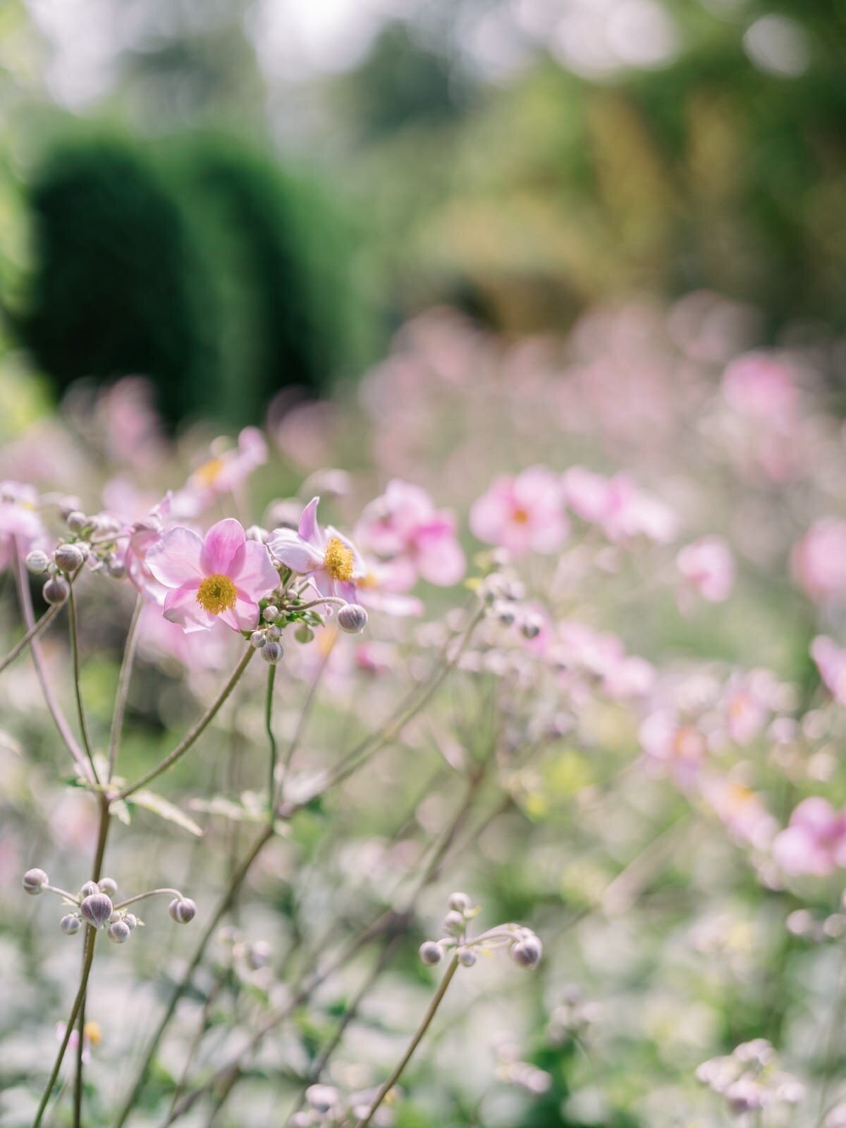 2021_08_07 Private Estate Wedding H&D-web-00064