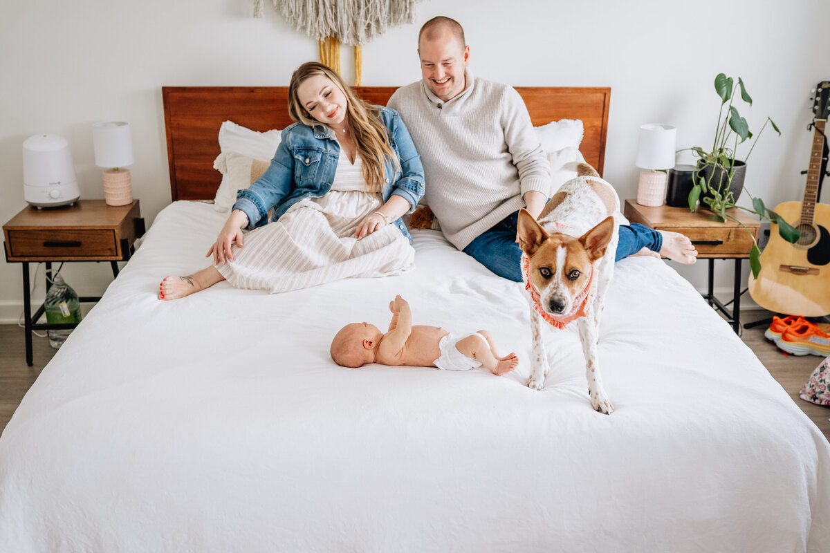 A top-down view of a couple holding their newborn baby. The mother, dressed in a striped dress and denim jacket, and the father, in a light sweater, lovingly gaze down at their baby, who is resting in thA couple sits on a bed with their newborn baby lying between them. A dog wearing a bandana stands on the bed near the baby, and the room is decorated with a guitar and plants in the background.