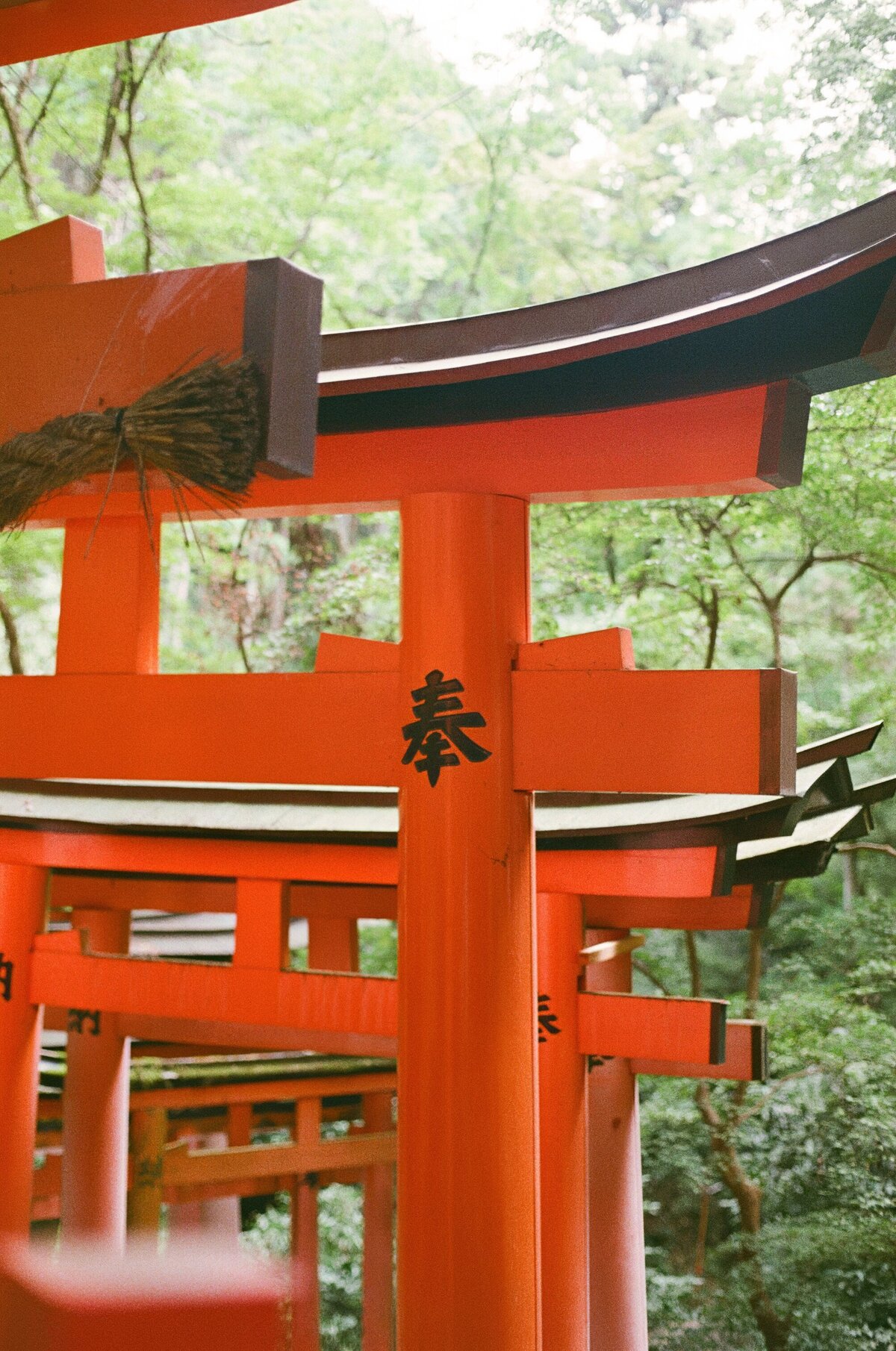Rainstone Photography 241031 Japan & Seoul Trip-47