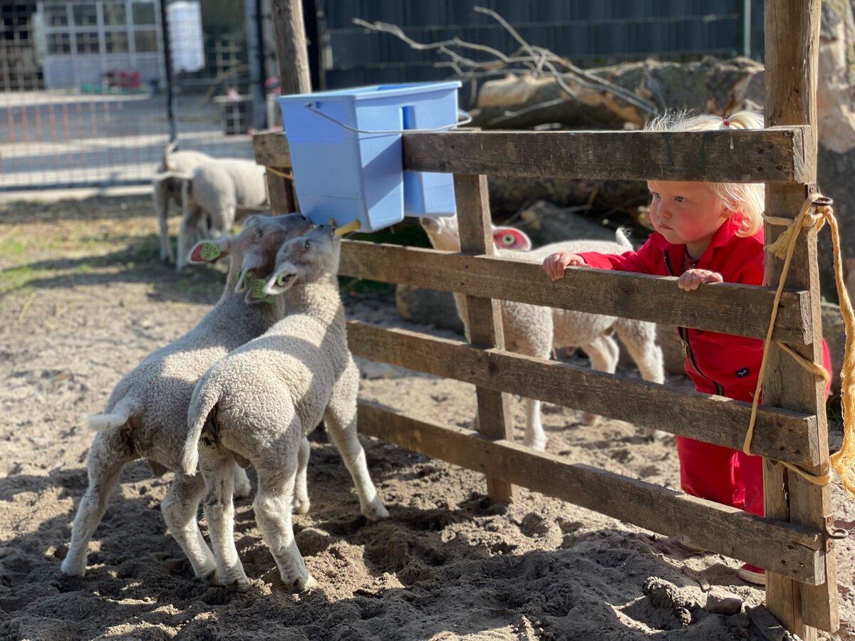 visie, leren van de natuur 