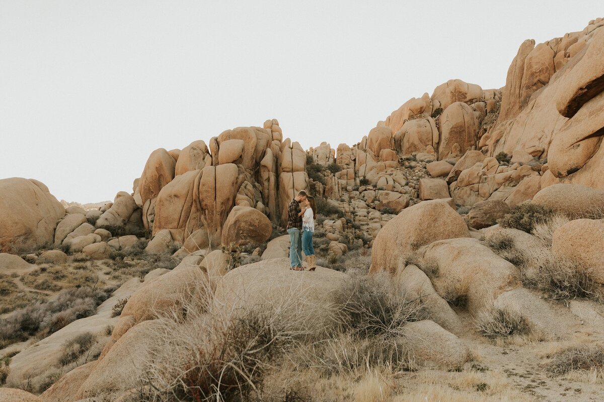 Joshua-Tree-Elopement-96