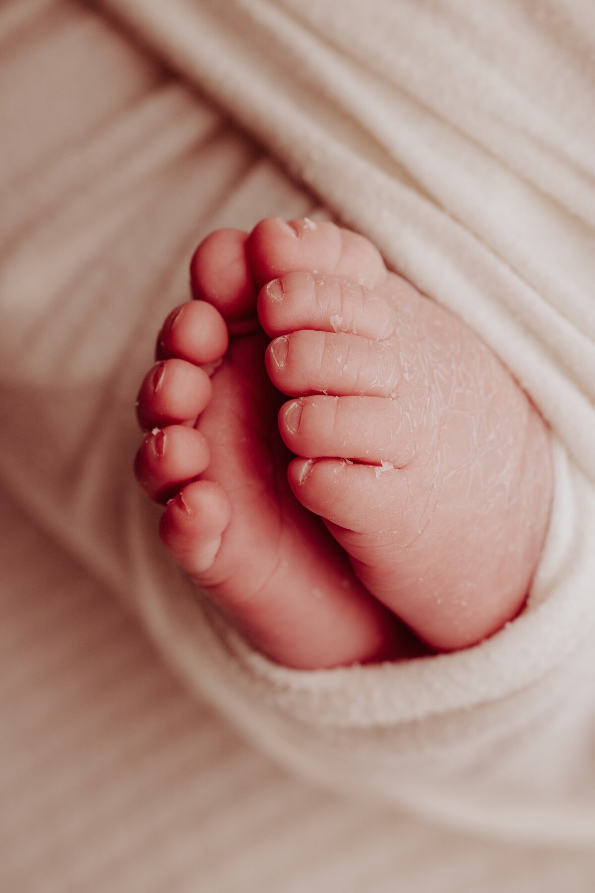 celebrating surrogacy newborn photoshoot,Beautiful newborn portraits in Elk Grove and Sacramento, capturing your baby's precious moments with simple elegance. Book your session today