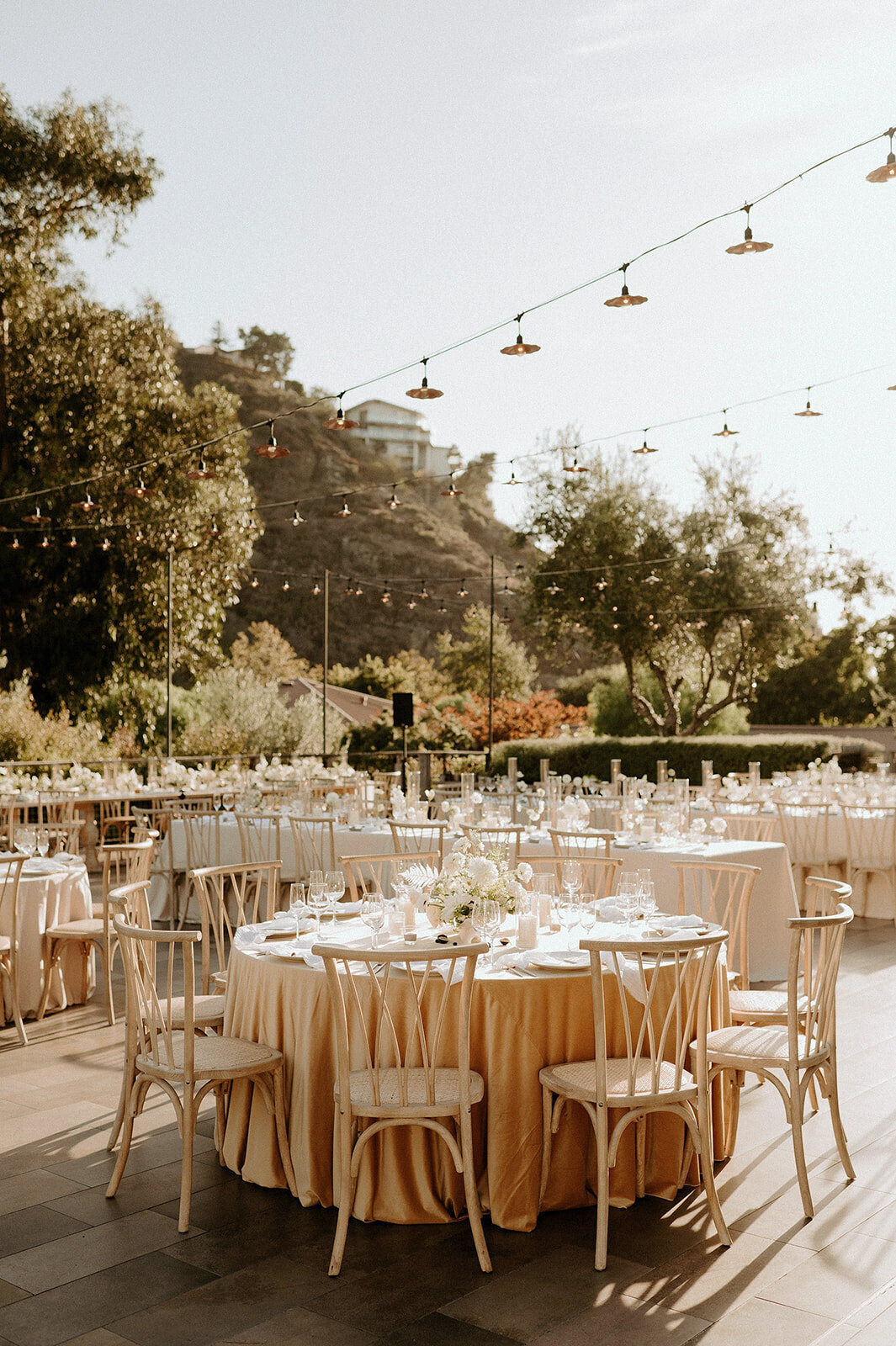 HayleyDolsonPhoto_4812_websize