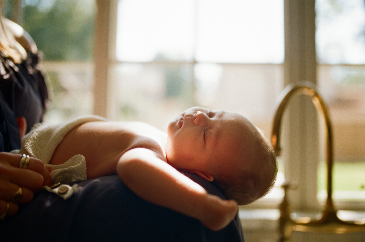 Campbell_35mm120FILMscans_NouvelPhotoFilm_2024_68