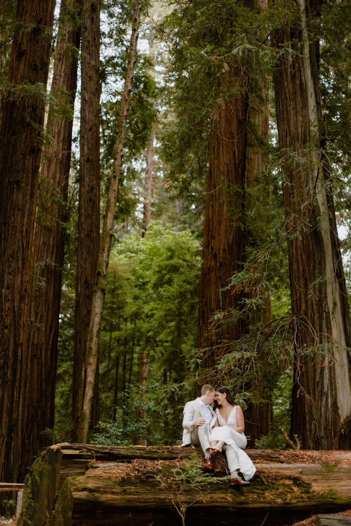 redwoods-california-elopement-2