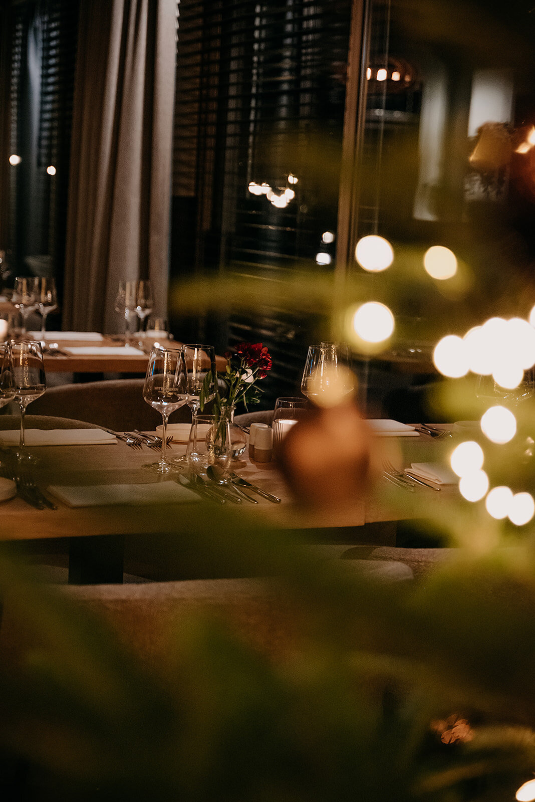 WitteBerkenNatuurhotel-66_websize