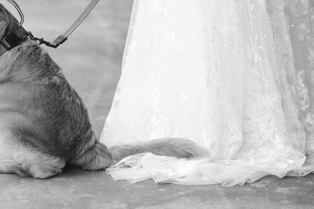 Wind in the Willows Wedding JT-04982
