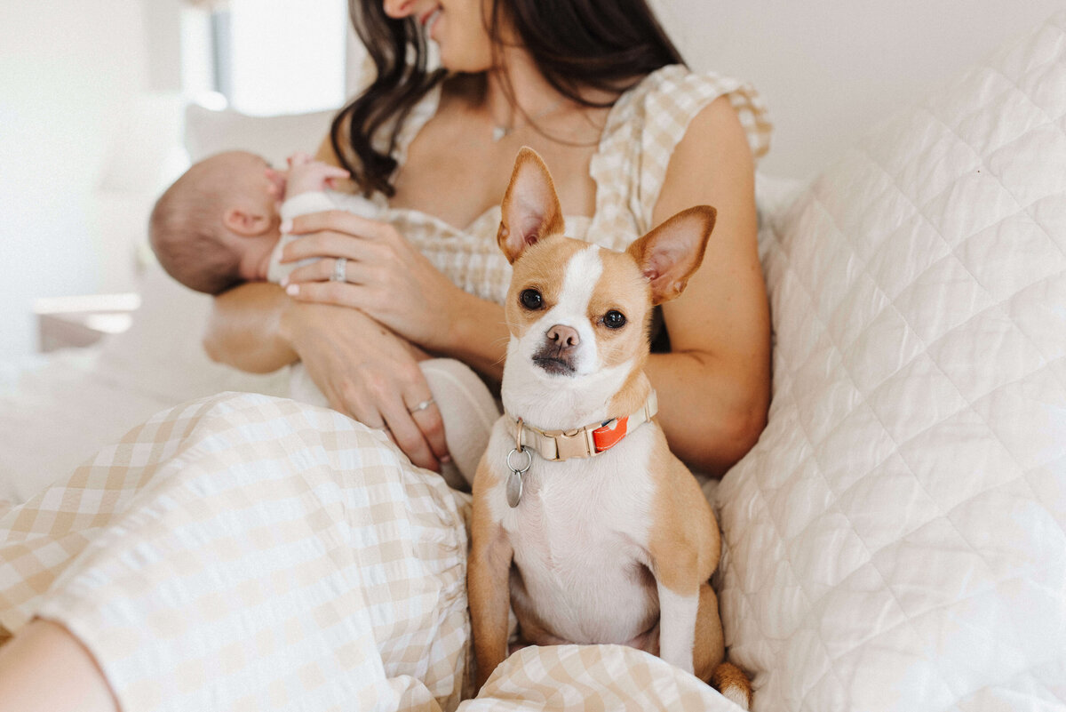 McKinney-Newborn-Photographer (27 of 45)