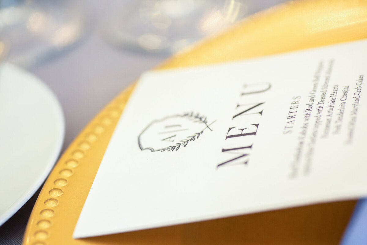 Chicago Wedding Photographer-TWA-Photographic-Artists-Capstone Occasions_Strickland_Augustyn_MS_JR-1152