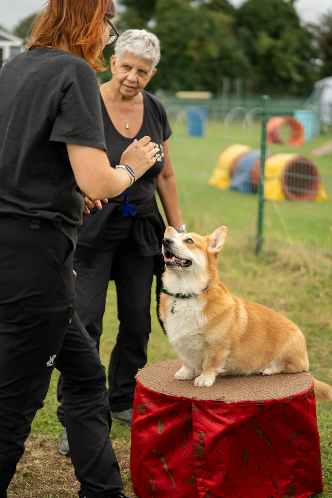 ElkeFierensFotografie-03507