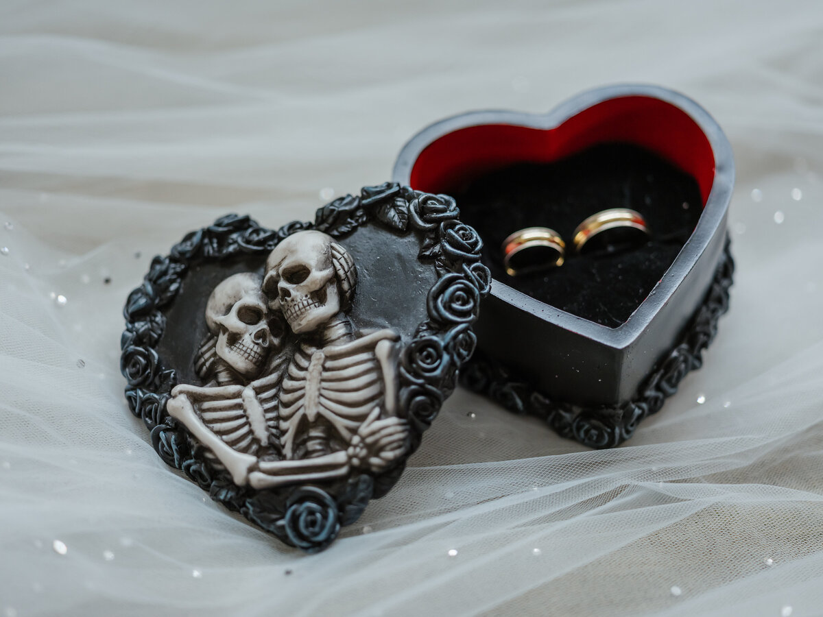2 - St. Petersburg Halloween Wedding Rings - Tampa Bay Wedding Planner