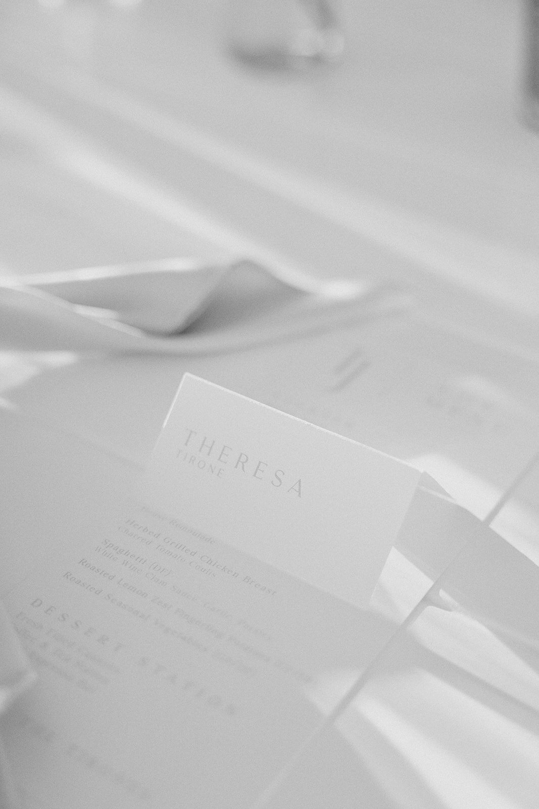 Theresa_and_Jordan_wedding_photos-371BW