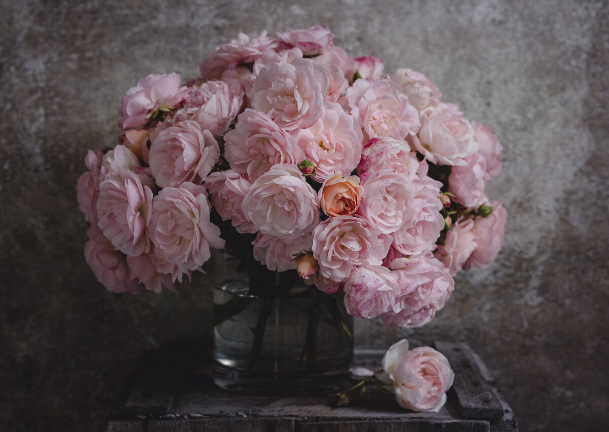 skene roses-2