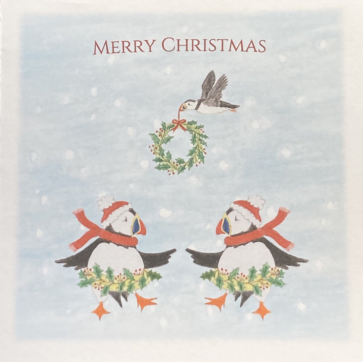 Watercolour puffins