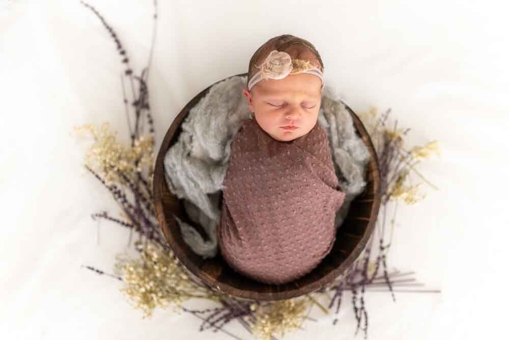 Elizabeth Priniski Madison Family Photographer Connie-3