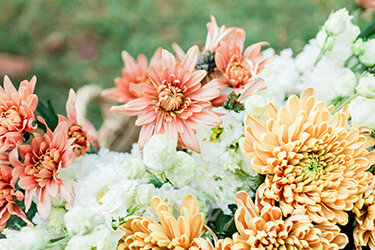 Horn Photography & Design Buds - 0020_