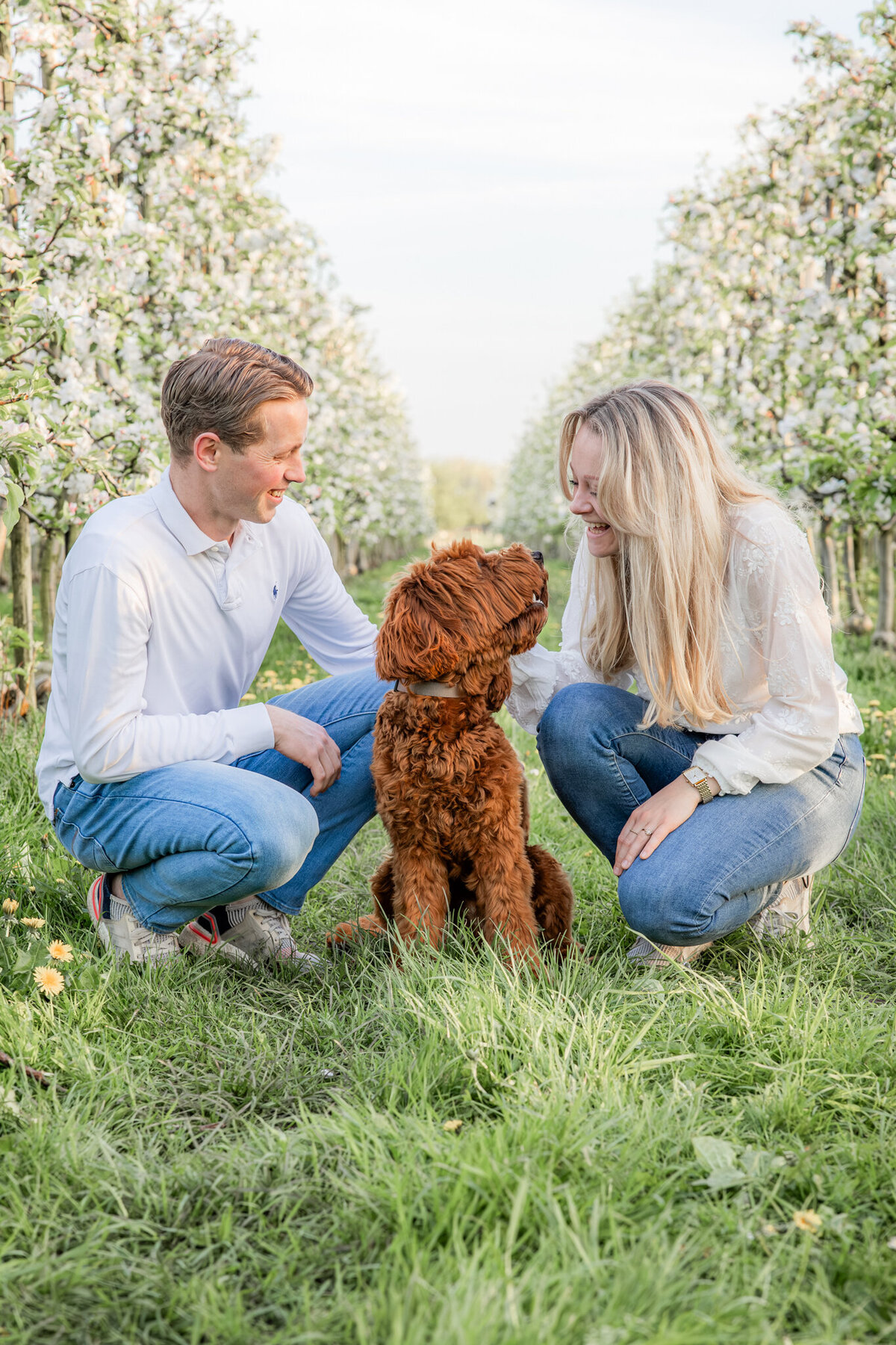 Hondenfotograaf Zaltbommel