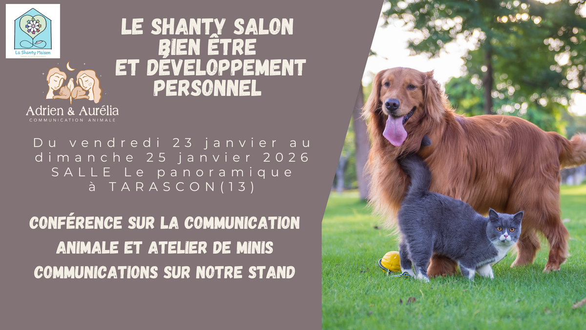 salon auriol