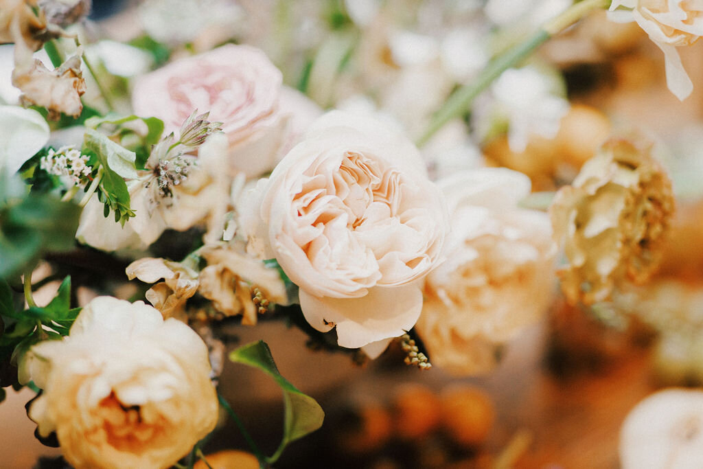 Styledshoot_22