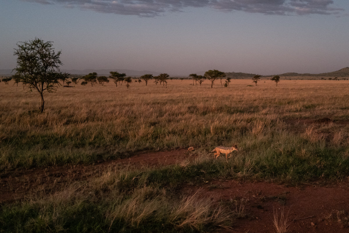 leila-brewster-photography-tanzania-0443