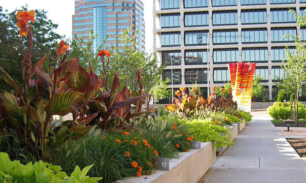 Commercial landscape company project in Kansas City: seasonal flowers showcase