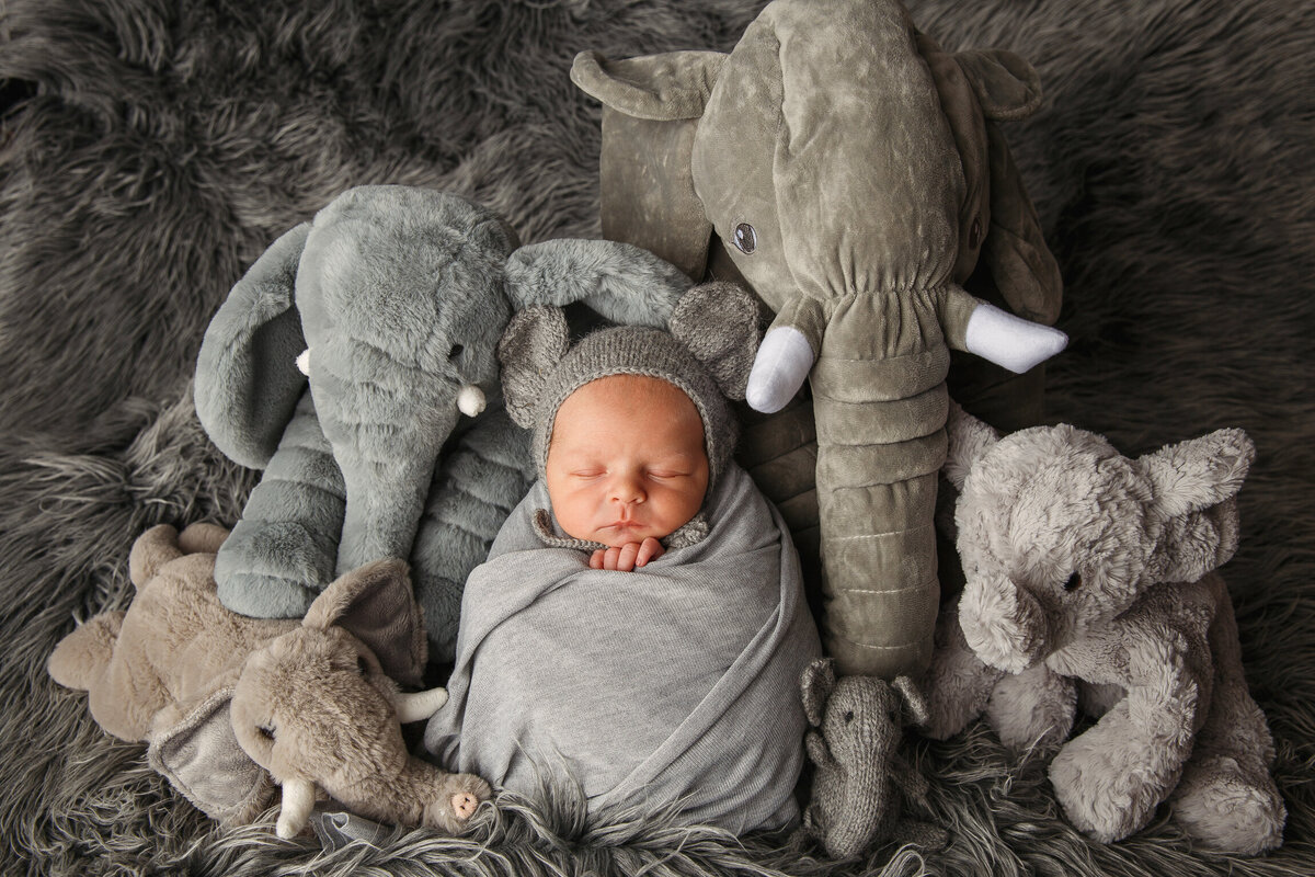 newborn Portrait Session of a baby wrapped in gray sitting with a bunch of stuffed elephants photographed by Life in Pink Photography in Janesville wisconsin