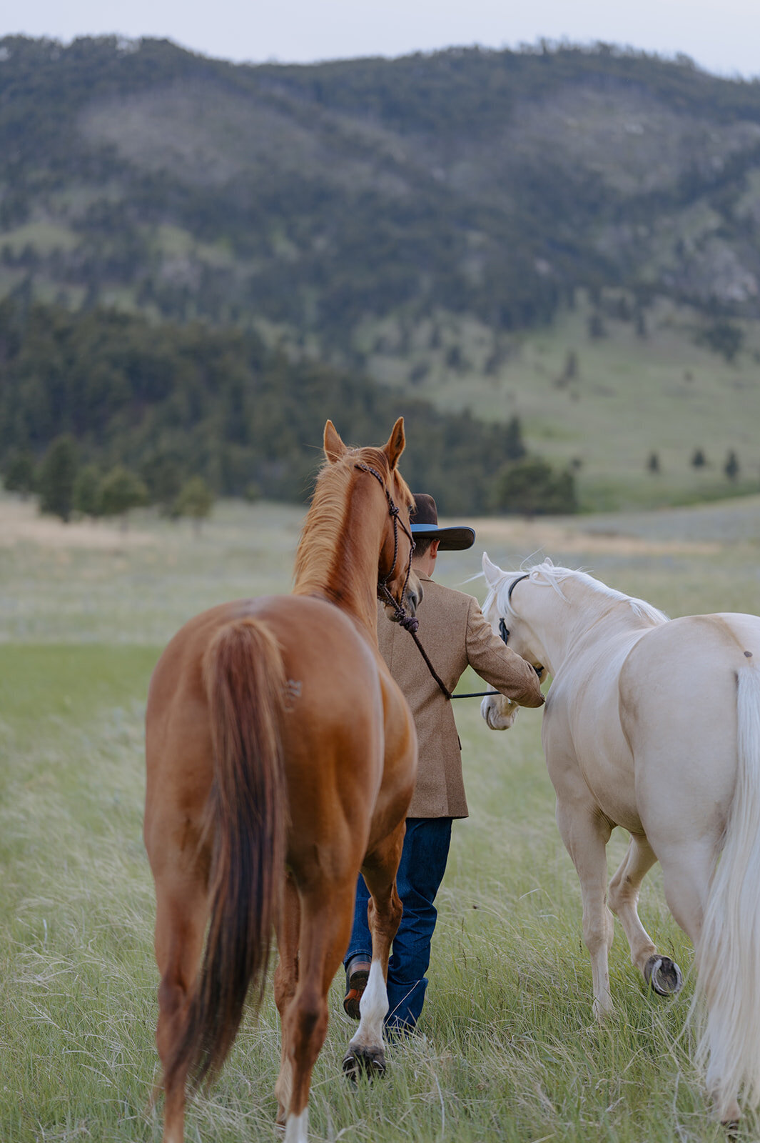 Carly-Patrick-Sheridan-Wyoming-Elopement-281