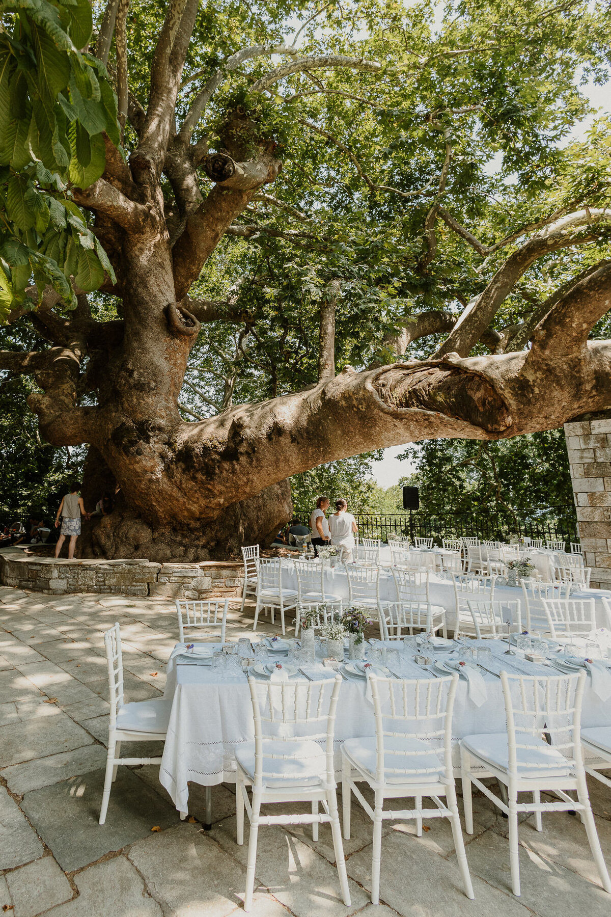 tsagarada_treehouse_wedding_0054