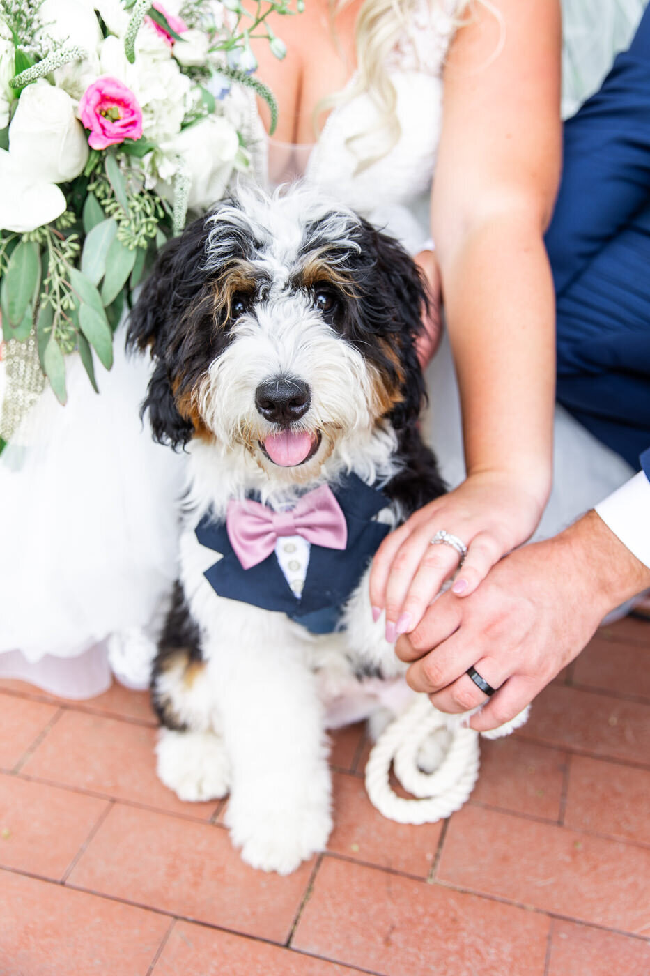Bride and Groom Holding Their Dog's Paw