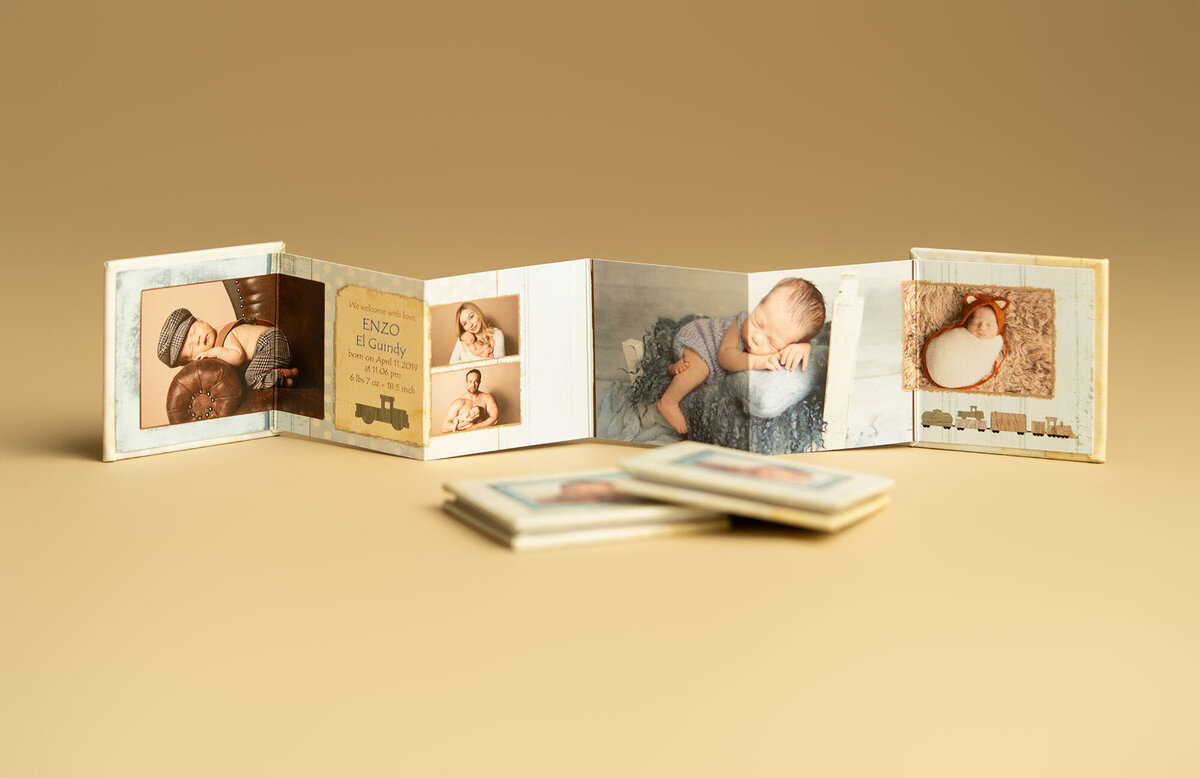 orlando-fl-maternity-milstone-newborn-photography-steinart-studio-accordion-album