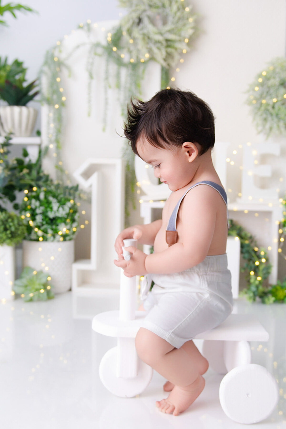 white and green plants on backdrop for cake smash