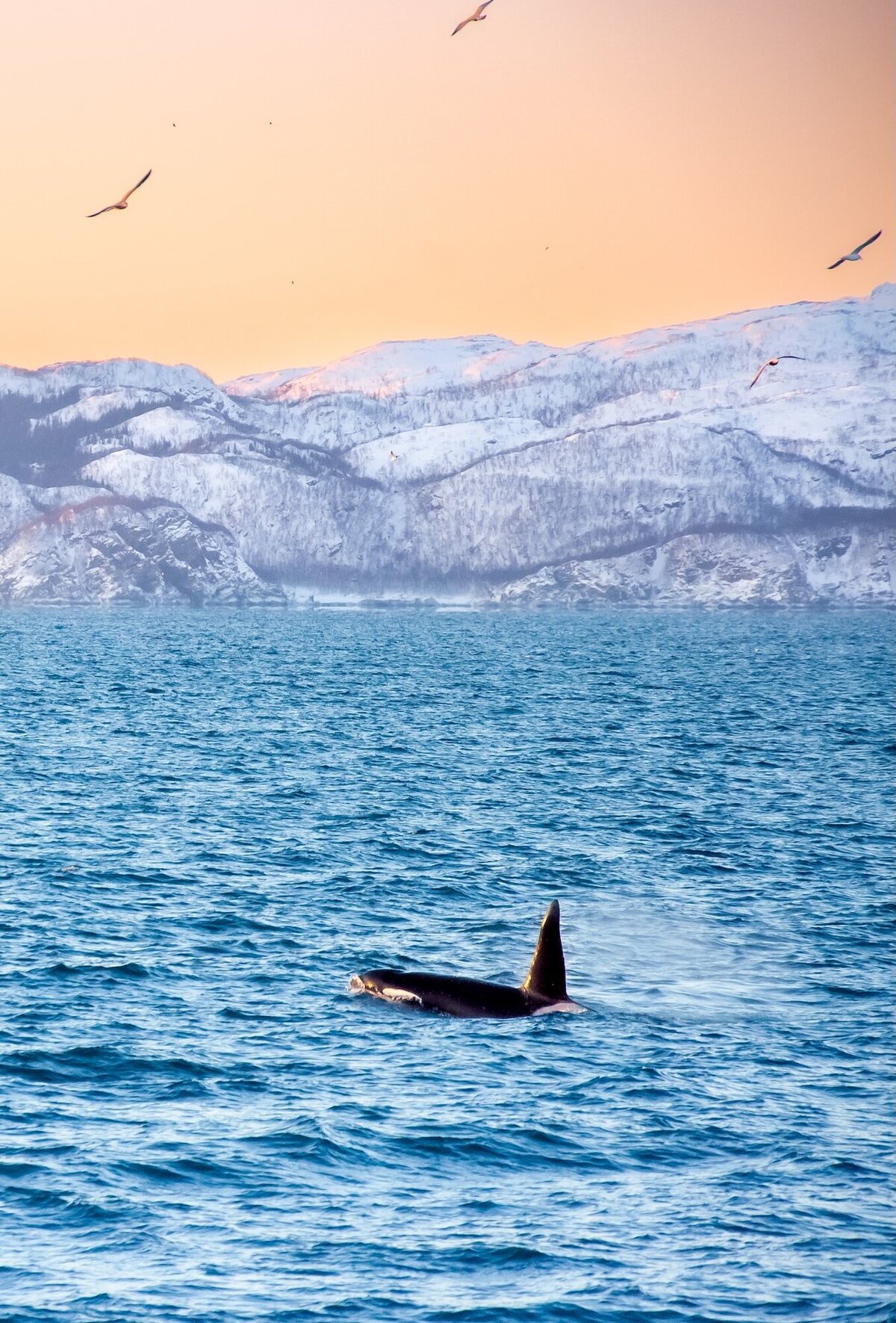 Travel Lifestyle hospitality photographer1