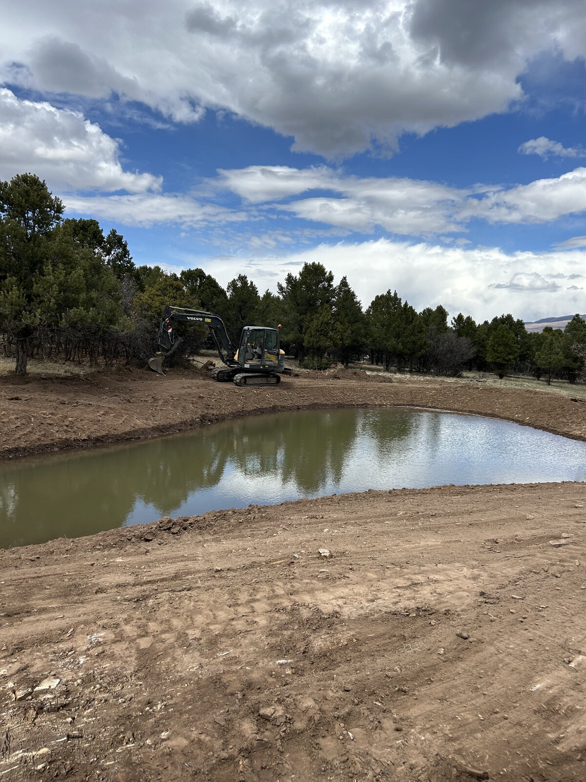 Clear pond with stone edge and surrounding evergreen trees