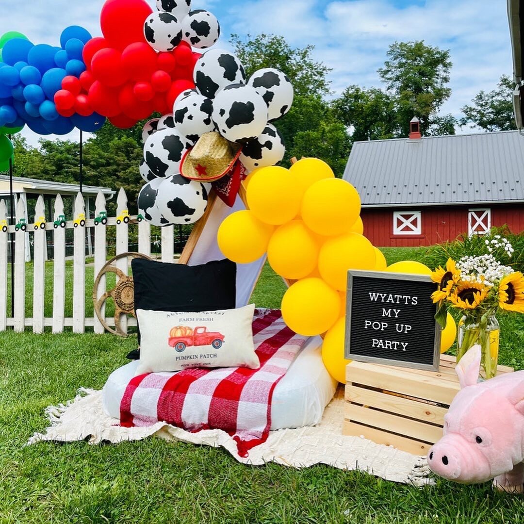 farm style kids birthday party with balloon arch and luxury tents