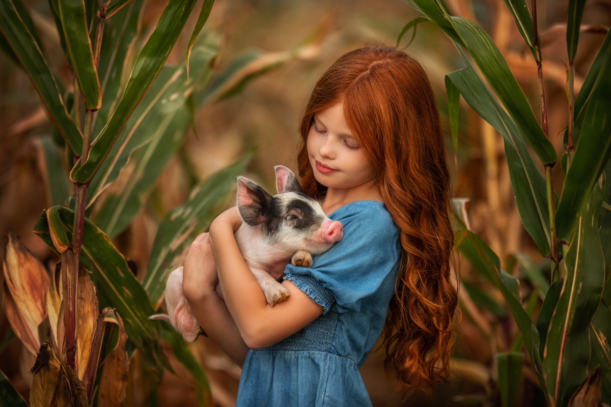 Ginger,in a blue jean dress ,girl with red hair is holding a baby piglet in a cornfield.