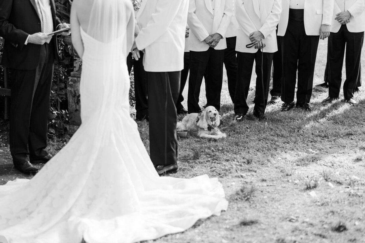 Historic-Tuckahoe-Richnond-Wedding-Planner-15
