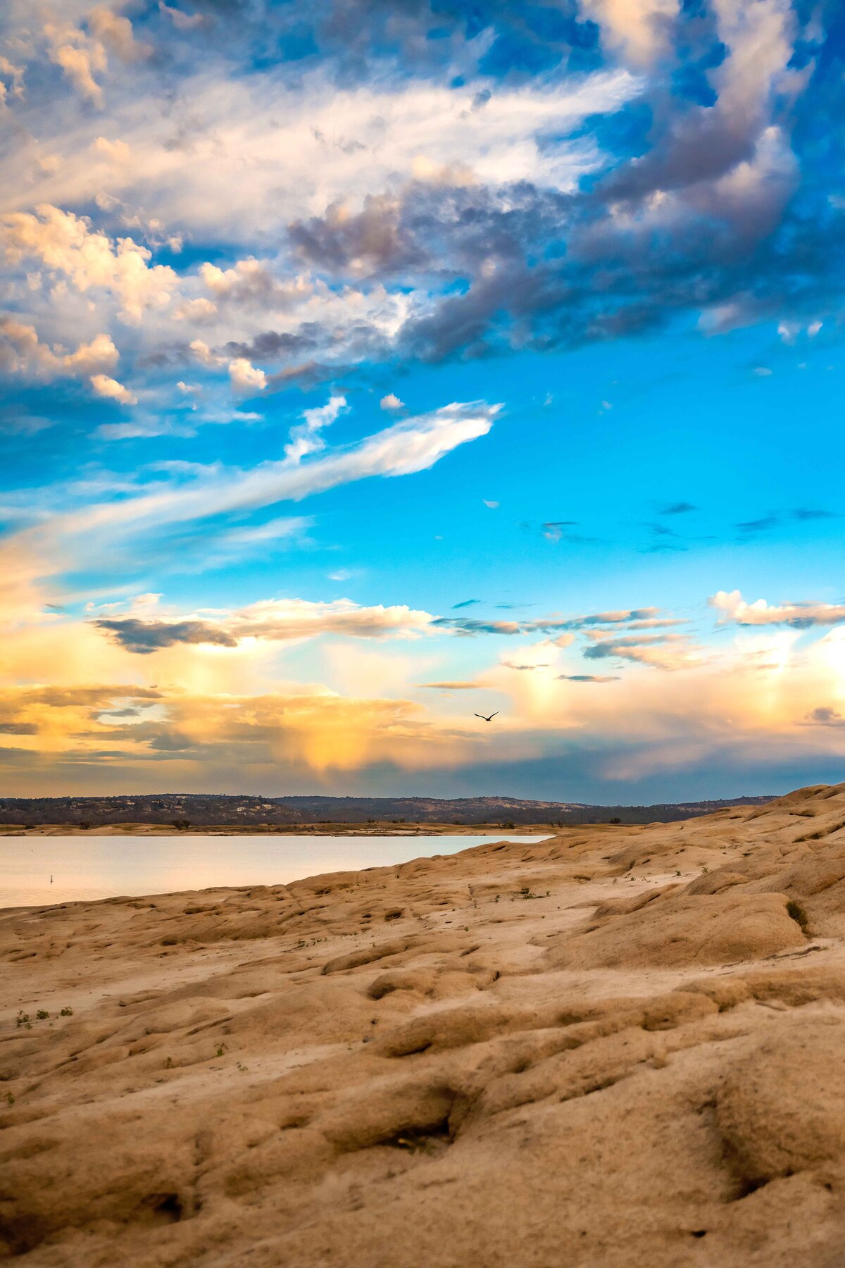_DSC4382-Edit