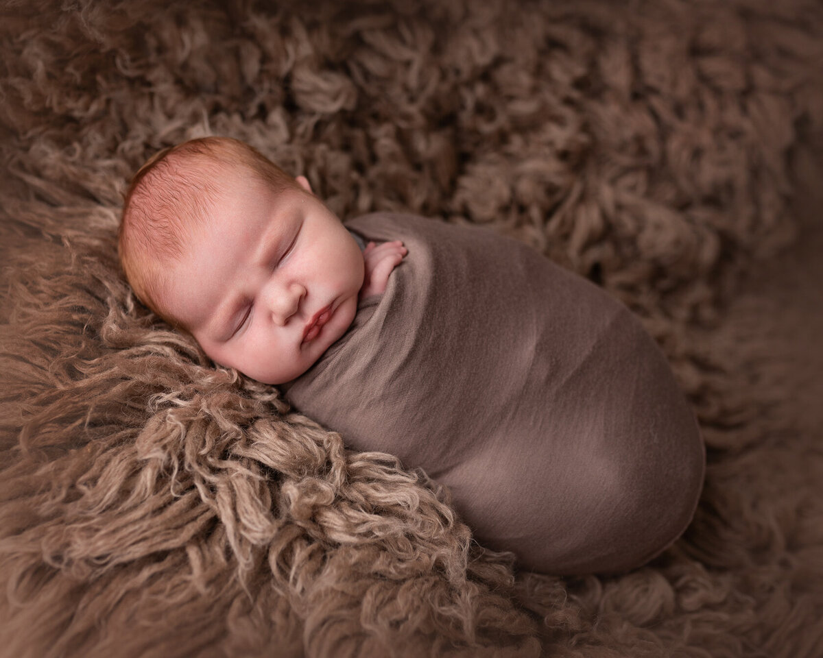 Wrapped newborn in Brown Furry Background