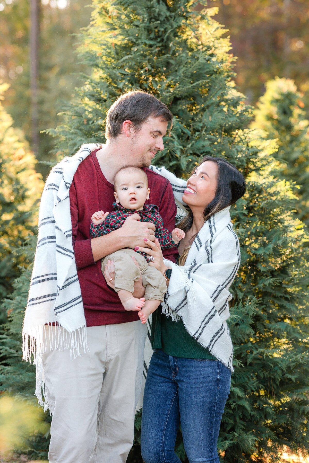 Savannah-christmas tree farm-photographer-24