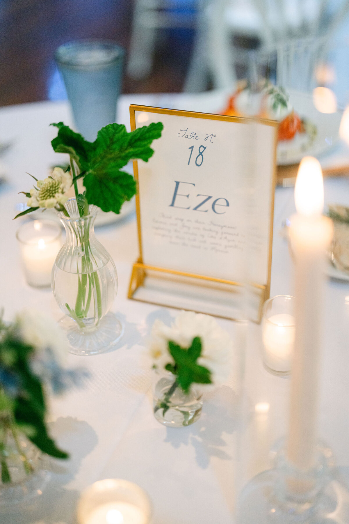 AlexisLunsfordPhotographyEmma&JoeySwanHouseWedding-844