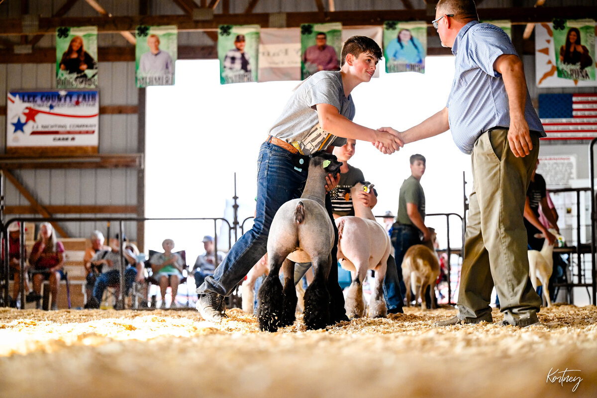 Boy shaking judges hand during sheep show