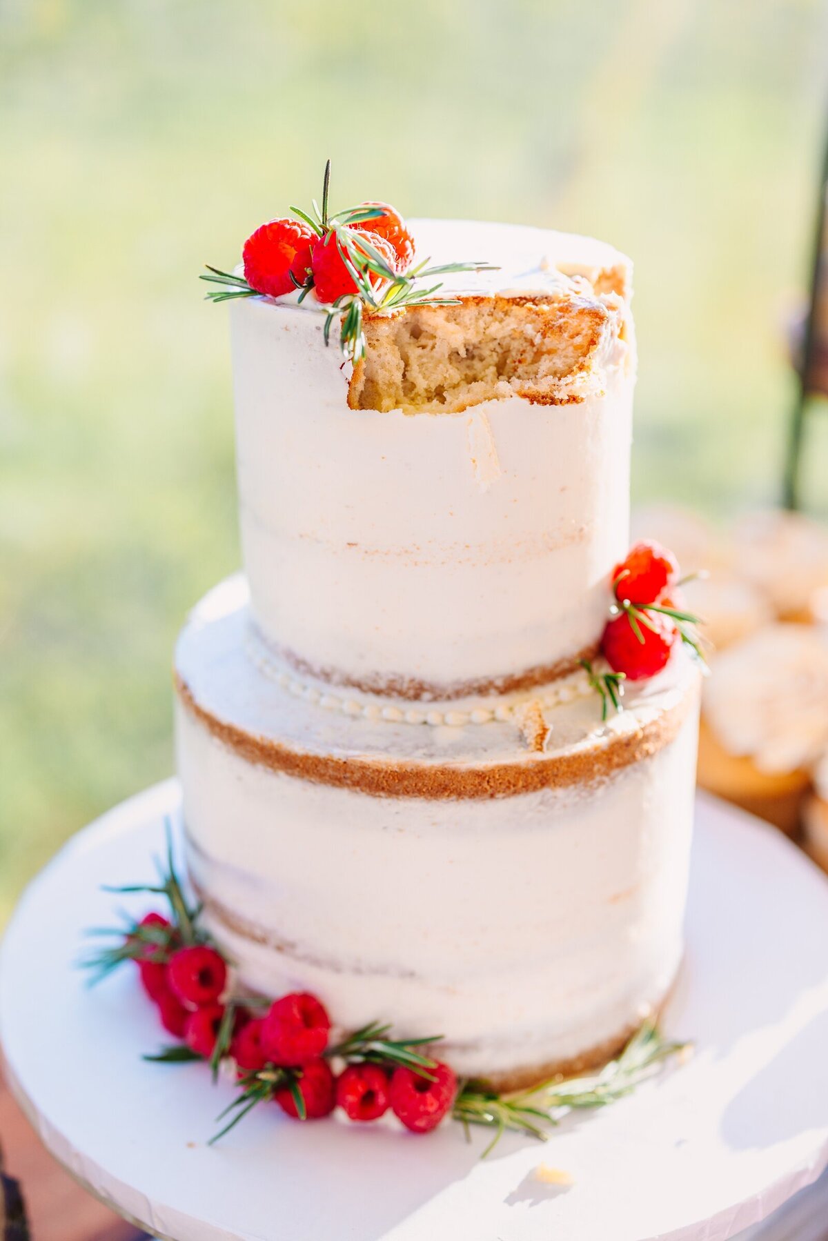 Wildflower_Inspired_Sunny_Colorful_Wedding_Photography_Preserve_at_Chocorua_New_Hampshire_0107