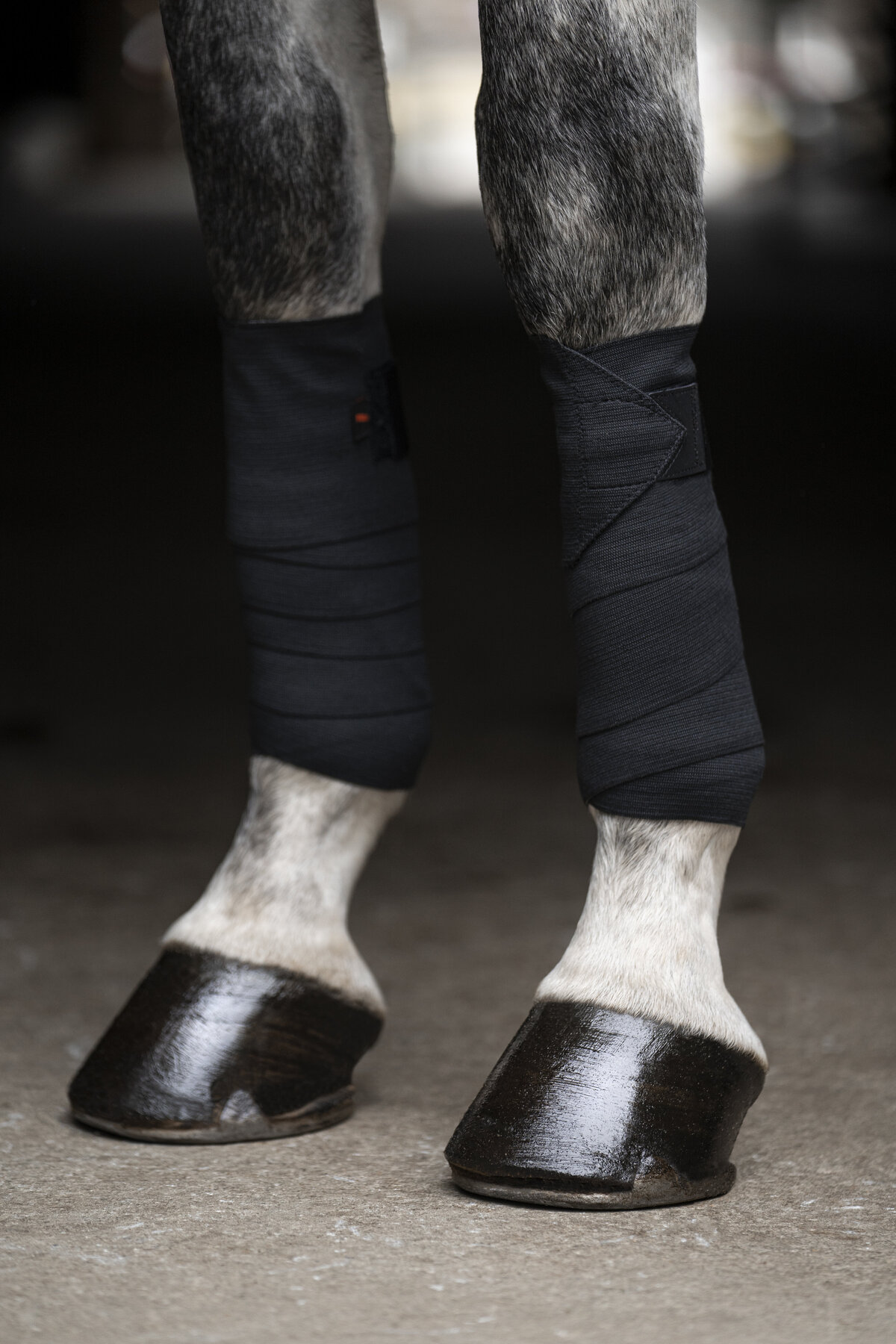 GreyPolos3