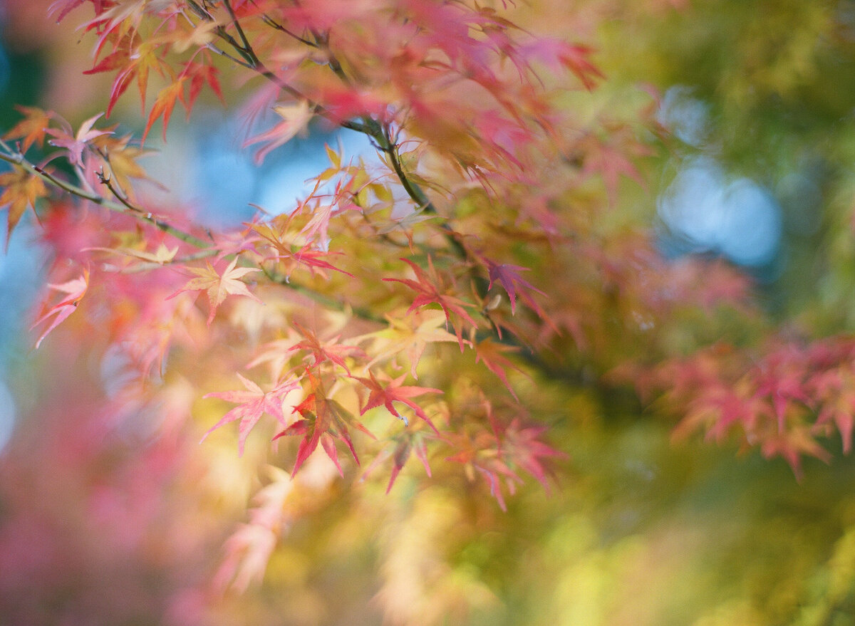 kyoto-prewedding-raymond-vivien-66