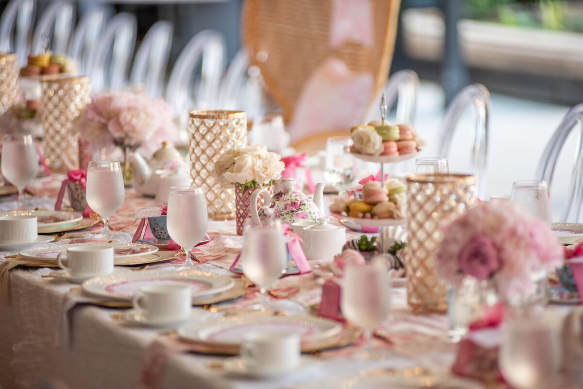 troy missouri, st louis missouri, concert and event photographer