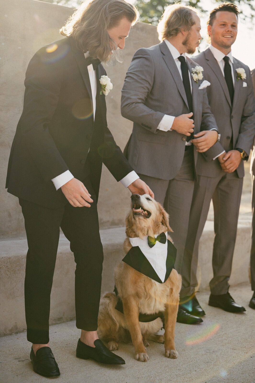 massachusetts_wedding-1