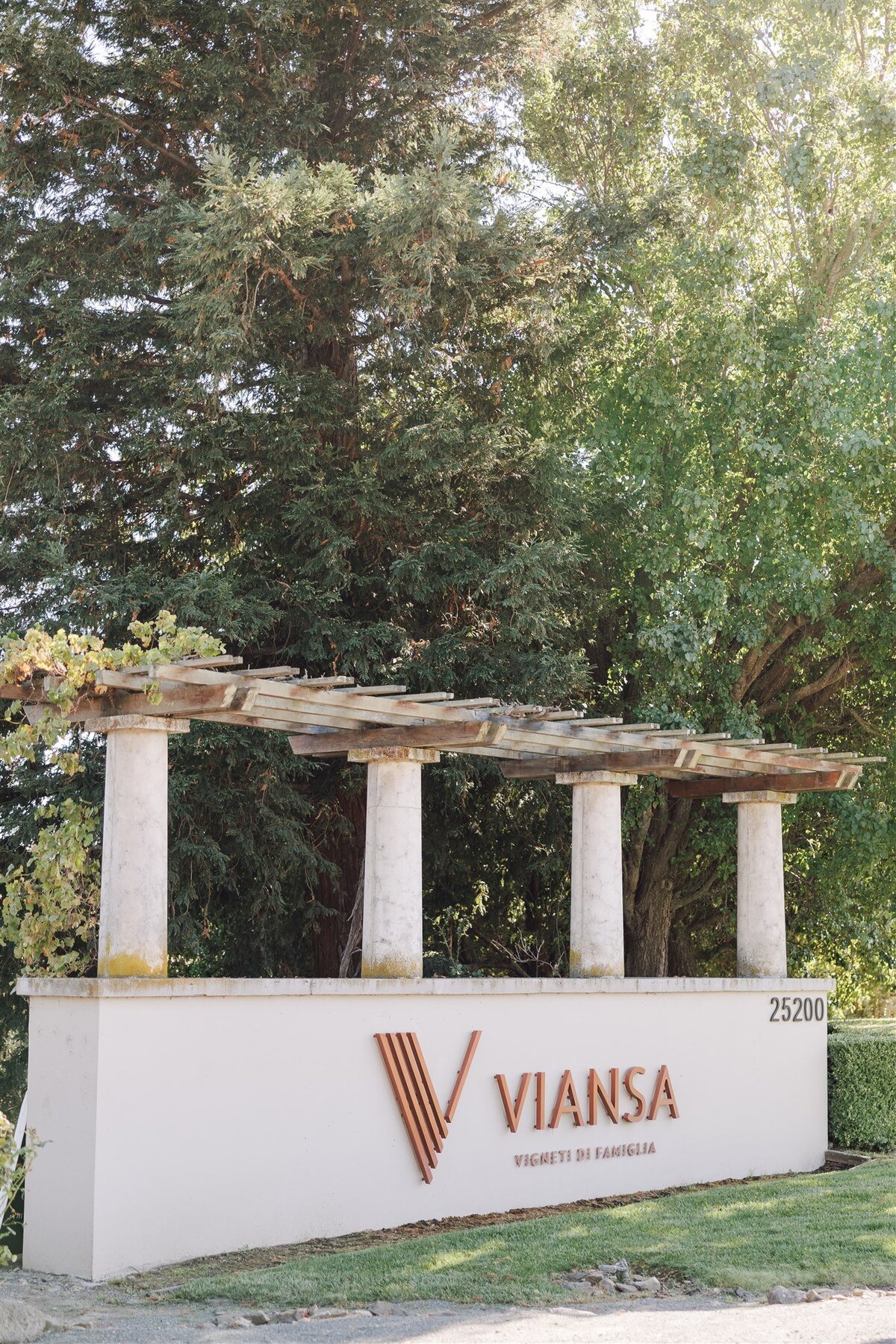 viansa-sonoma-wedding-annie-ben-ashley-carlascio-photography-0111